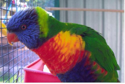 Shady Willows Holiday Park & Batemans Bay Yha