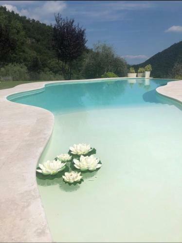 Chalet Vela Natura E Relax