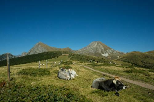 Agroturismo Haus Winkler