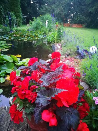 Hostal Pension Celia