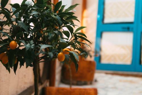 B&B Ziu Anacletu