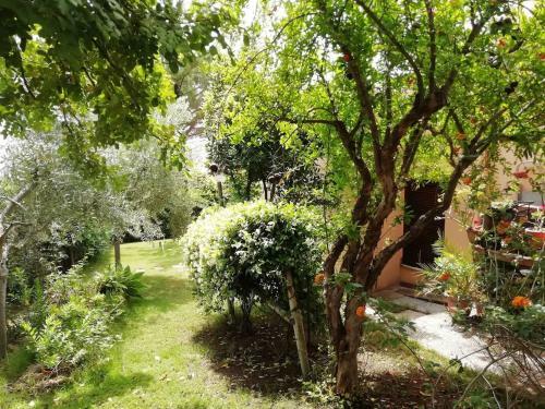 "ruby Seadragon Holiday Home" A 80 M Dal Mare Con Giardino Recintato P5584