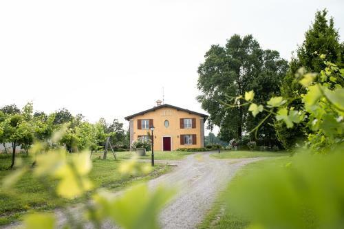 Bed & Breakfast Belvedere