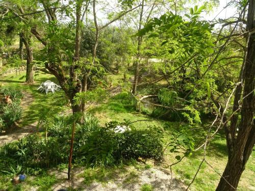 Agroturismo Le Mimose B&B