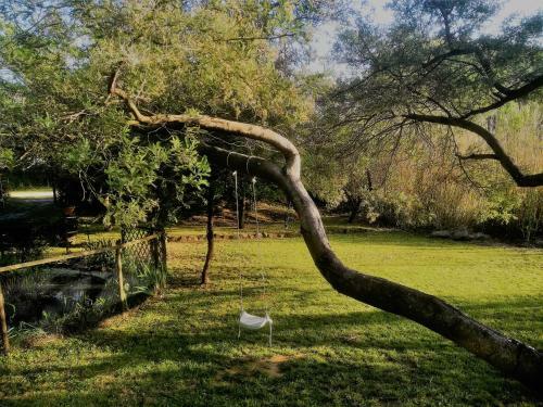 Agroturismo Le Mimose B&B