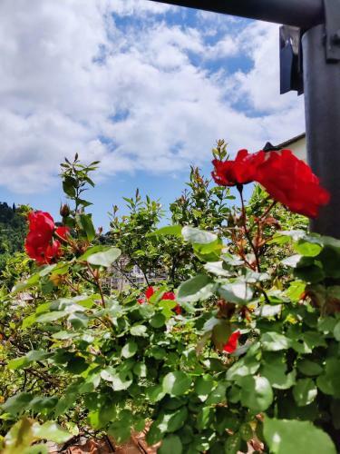 Apartamento Tra Sole & Mare