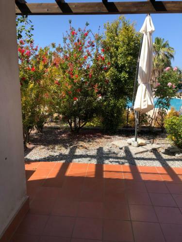 Apartamento Appartamento Amelia