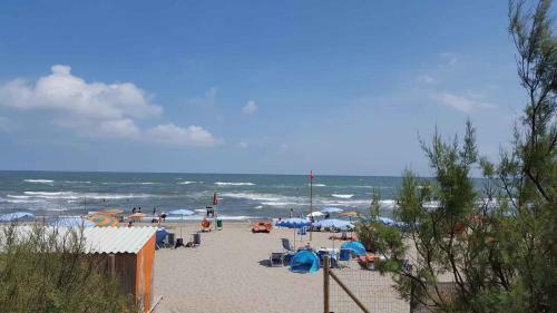 Mobilehomes In Rosolina Mare 36311