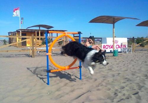 Apartamento Rondine 20/6