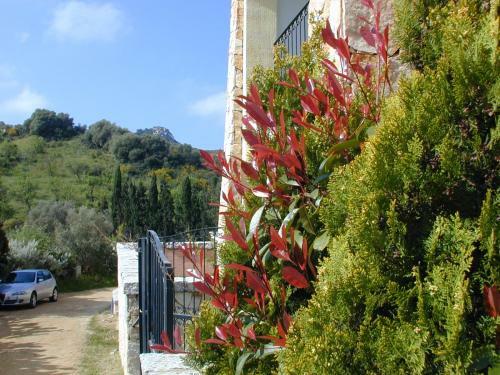 Apartamento Appartamento Markus