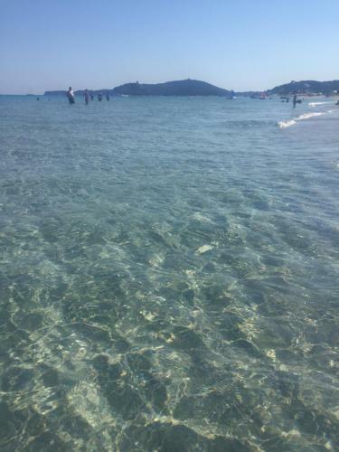 Tuffarsi Nel Paradiso
