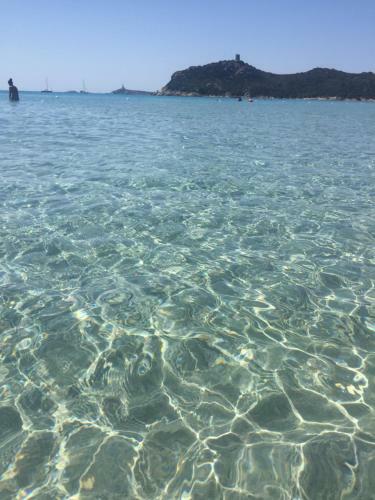 Tuffarsi Nel Paradiso