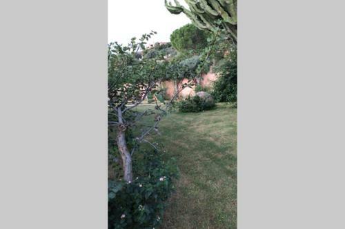 Villa Fiorella