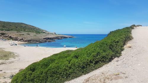 Apartamento Casa Bouganville