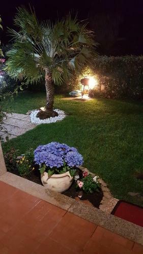 Apartamento Casa Bouganville