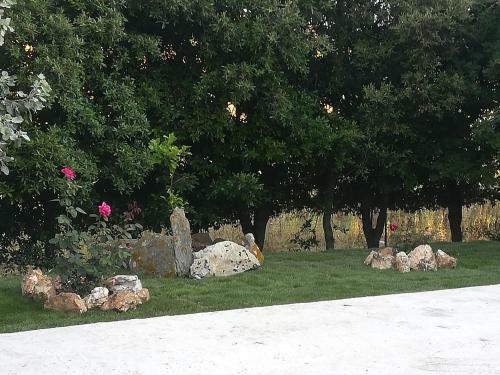 B&B Il Turchese