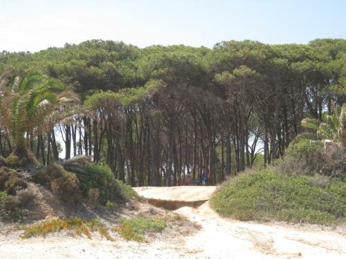 Vicino A Chia, Villino Fronte Mare 100m