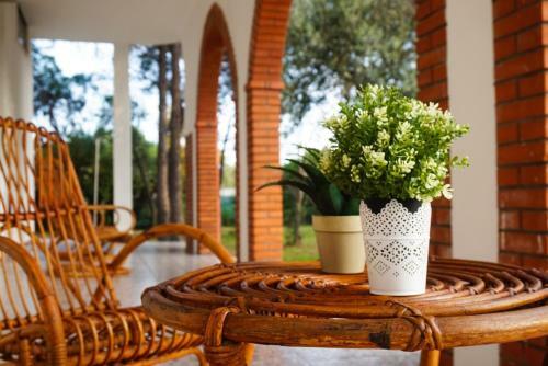 Seafront Aurelia Apartmen With Patio