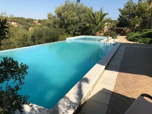 Le Orchidee Sardegna