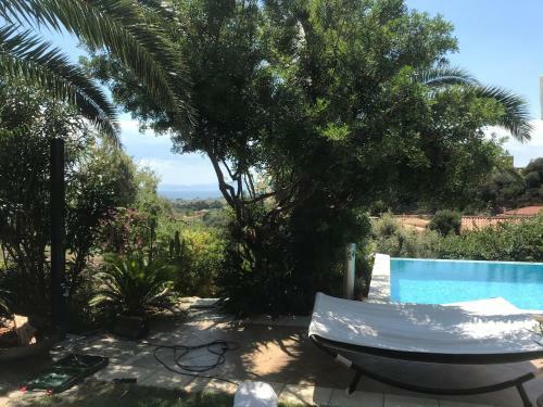 Le Orchidee Sardegna