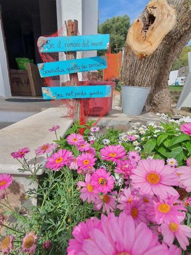 Sweethouse Pula