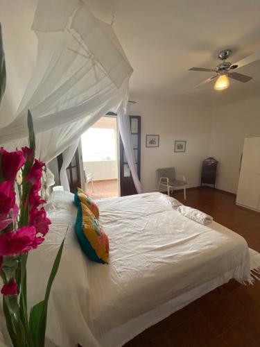 Spacious Beachfront Villa, Porto Columbu, Sardinia