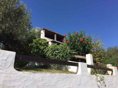 Apartment In Perd'e Sali/sardinien 36799