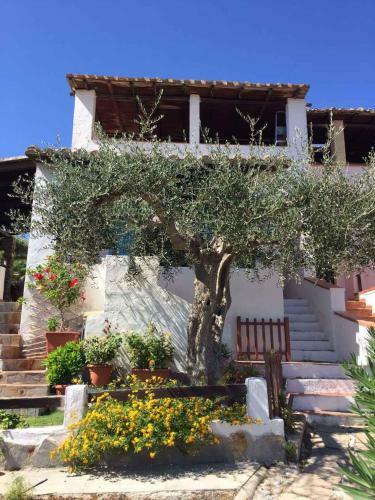 Apartment In Perd'e Sali/sardinien 36799