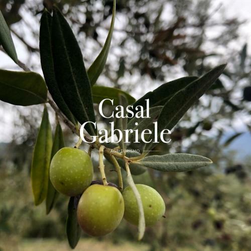 Agroturismo Casal Gabriele