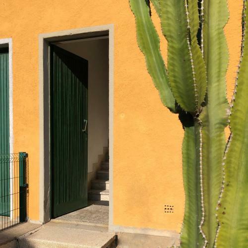 Apartamento Appartamento Fernanda