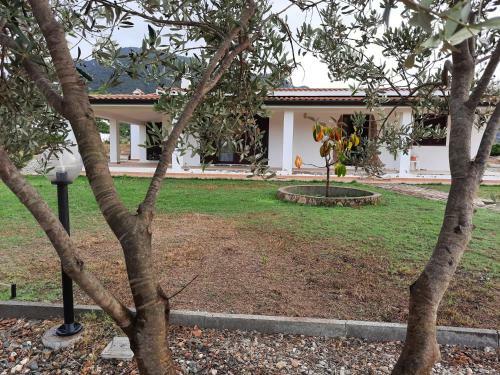 Villa Vacanze Is Carcuris