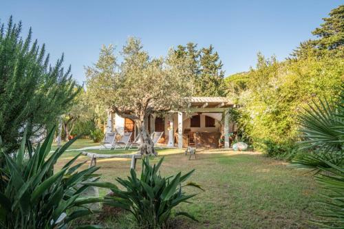 Casa Dell'ulivo
