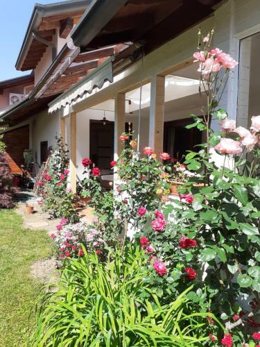 B&B Villa Bucceri
