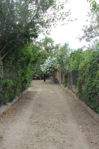Holiday Home Torre Delle Stelle
