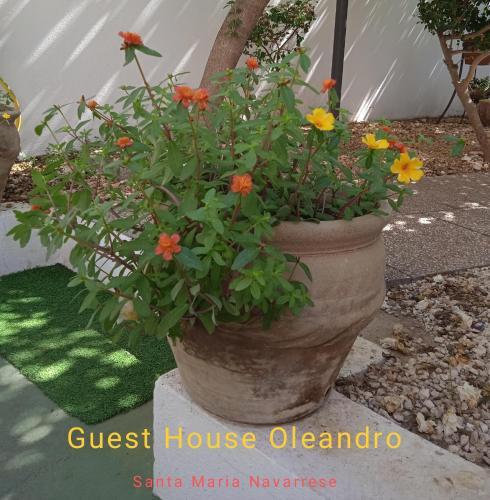Apartamento Guest House Oleandro Iun 2727