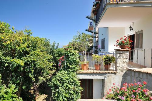 Apartment Dissoro