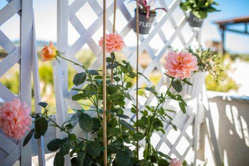 Sunset Bay Tecno Home Sardinia
