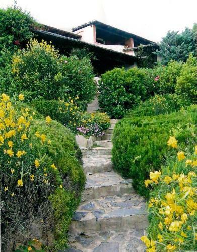 Apartamento Bilocale Cala Ruja