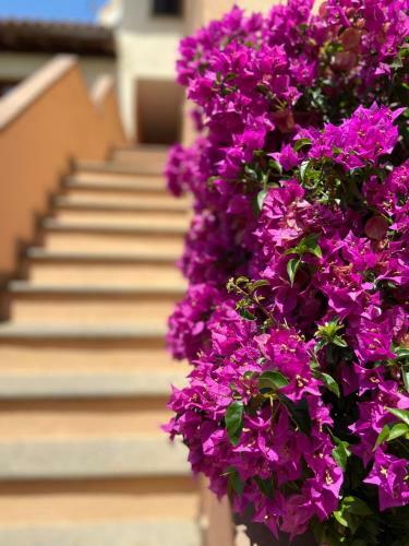 Apartamento Portorotondo Petralana