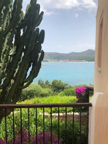 Apartamento Suite Porto Rotondo