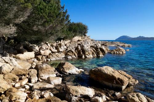 Apartamento Punta Volpe