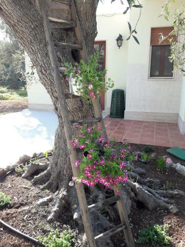 Apartamento Villa Tuppina
