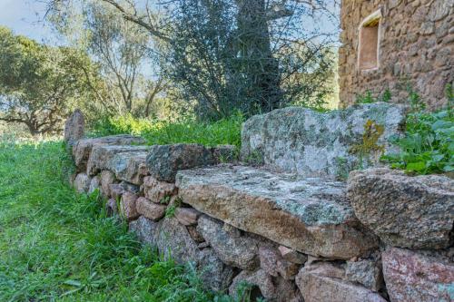 Le Case Di Mara - Villa Tipica Stazzo Giovannareddu