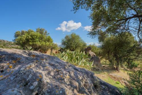 Apartamento Stazzu Delle Aie Bilocale