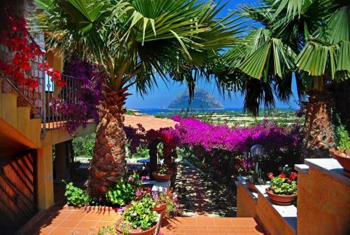 Hostal Suite Suliana