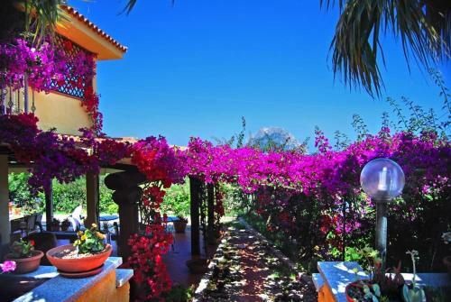 Hostal Suite Suliana