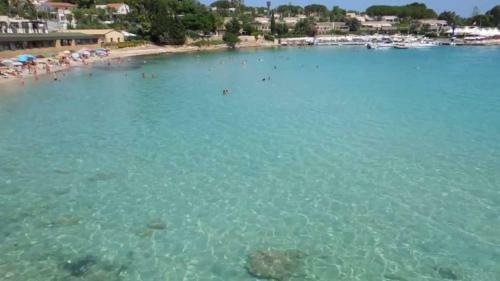 Le Tre Palme