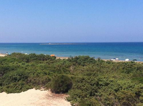 Terredimare