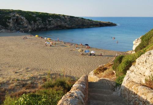 Terredimare