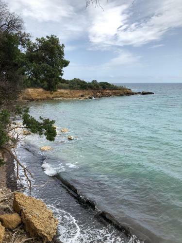 L?uliveto Sul Mare - Scirocco